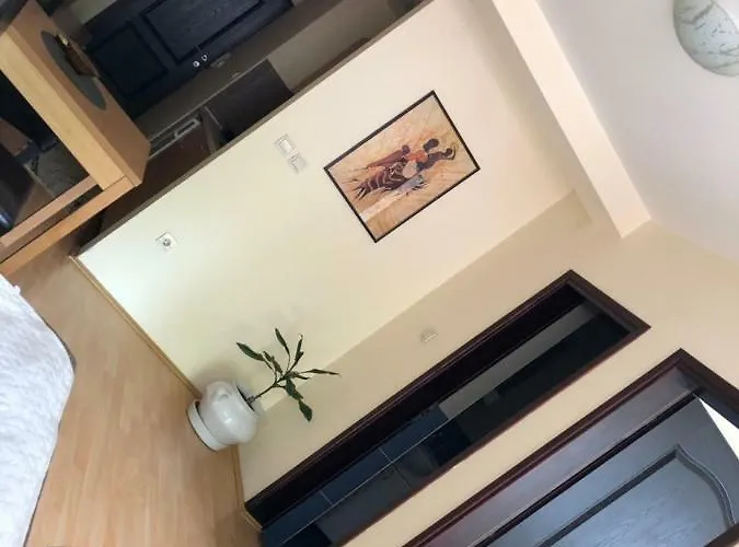 Apartman Jovanovic *